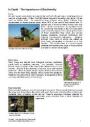 In Depth - The Importance of Biodiversity